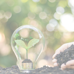 A hand grips a light bulb with a growing plant inside, representing the growth and innovation in technology.